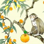 Khởi đầu vững bước với số lộc tuổi Thân 28/8/2025